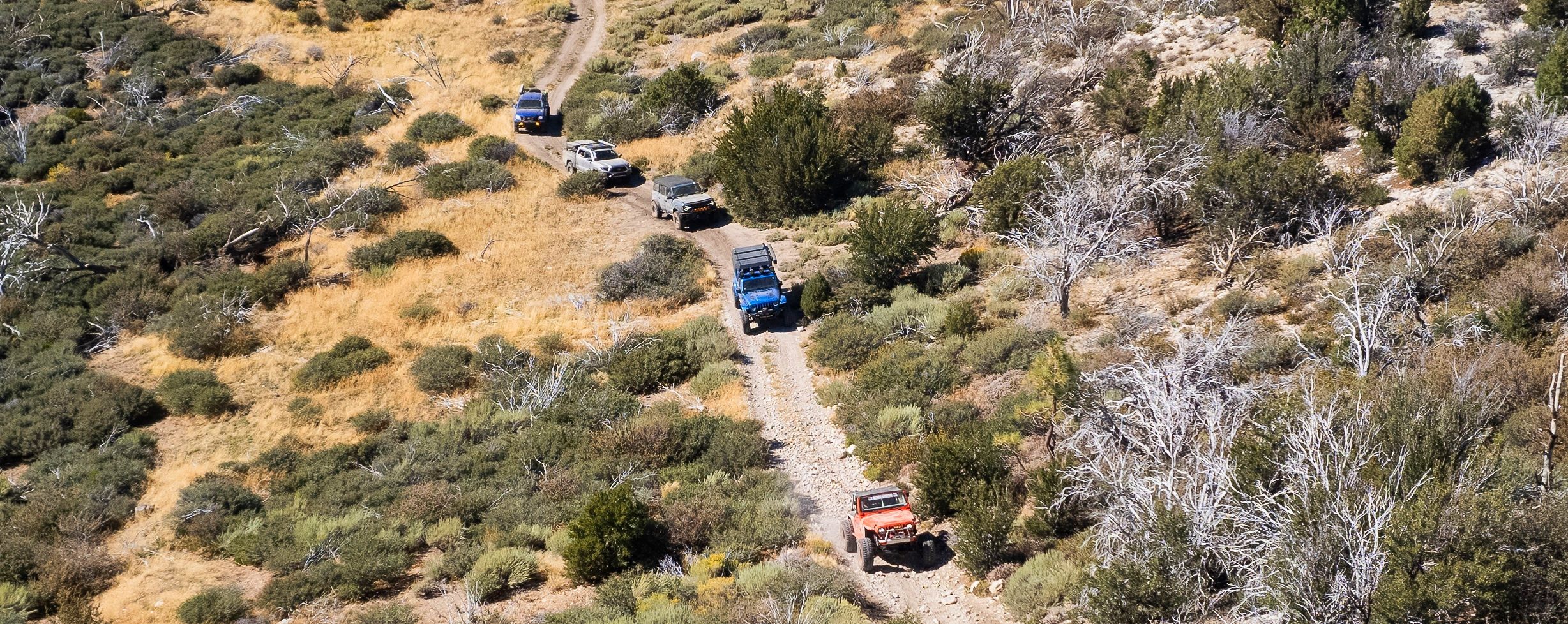 Overland